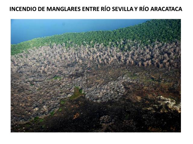 Destrucción ambiental de la Ciénaga Grande de Santa Marta