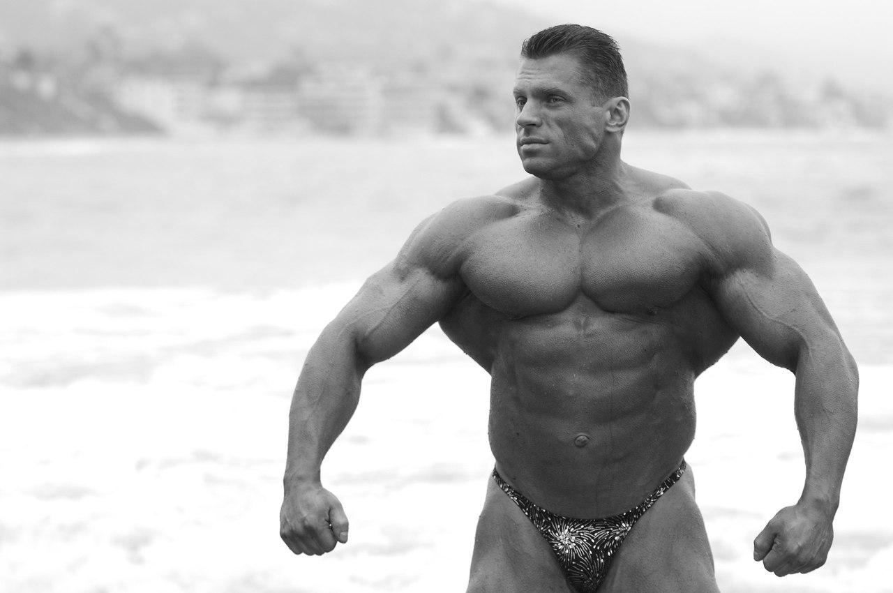 мэтью лебланк торс. молодые бодибилдеры. джефф сейд 2020. молодые бодибилдеры. джефф сейд 2022.