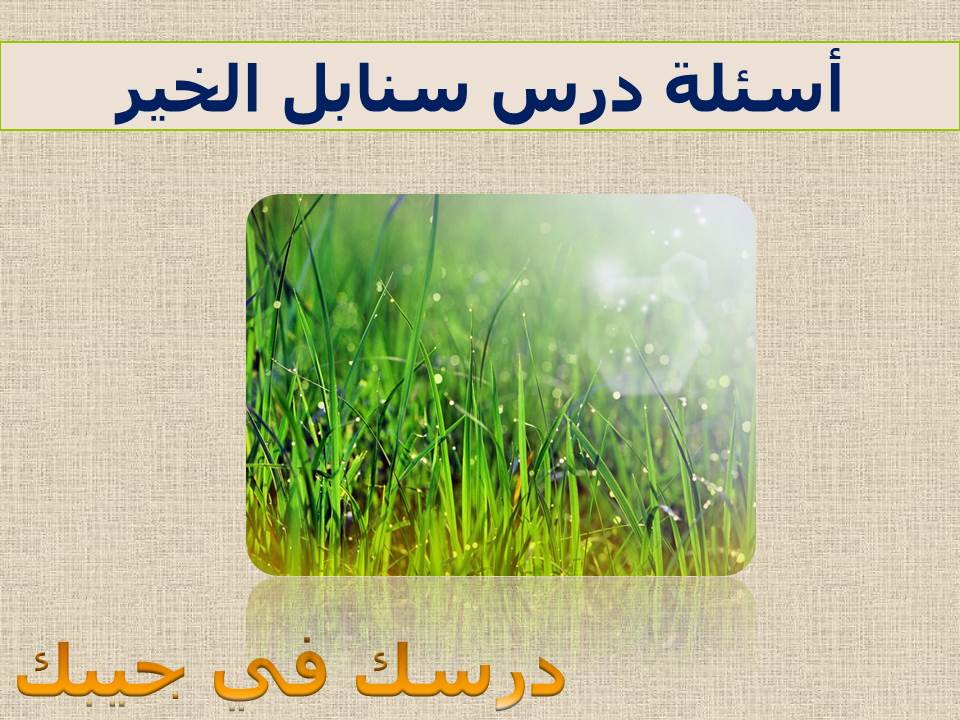 أسئلة درس سنابل الخير للصف الخامس الابتدائي