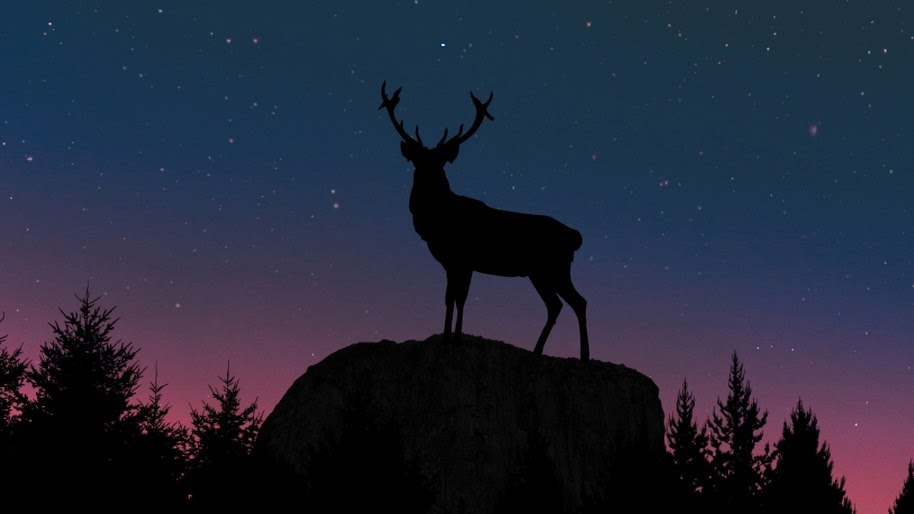 Deer, Night, Minimalist, Digital Art, Silhouette, 4K, #8