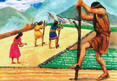 Todo sobre la agricultura de los incas Clearance