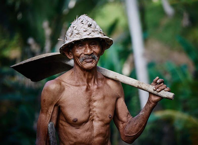 gaji tinggi orang tua