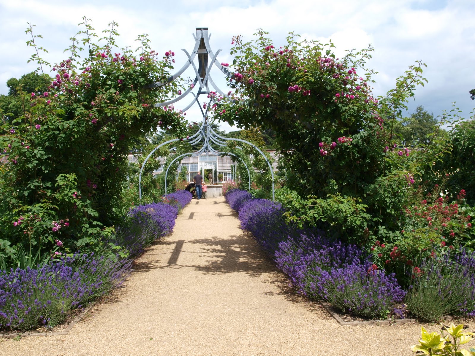 Ragged Robin's Nature Notes Osborne House and a Cream Tea at Ventnor