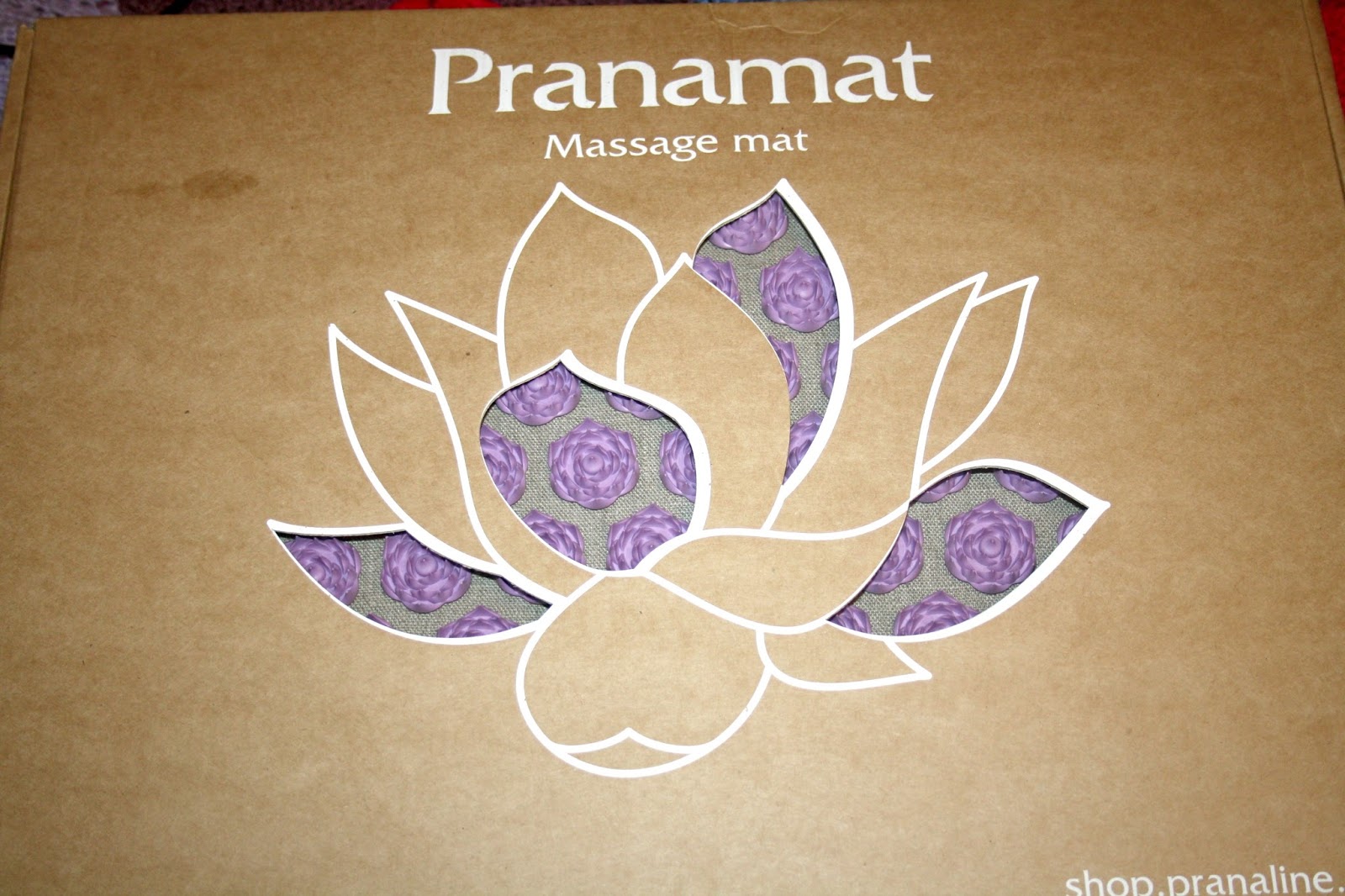 beautyqueenuk Pranamat ECO