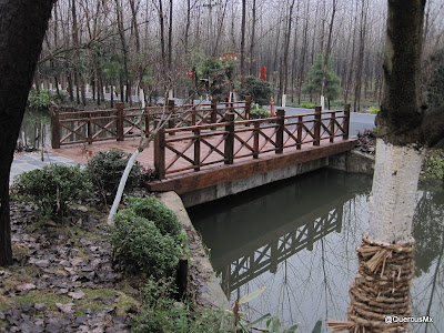 QiFeng bridge / Puente Qifeng