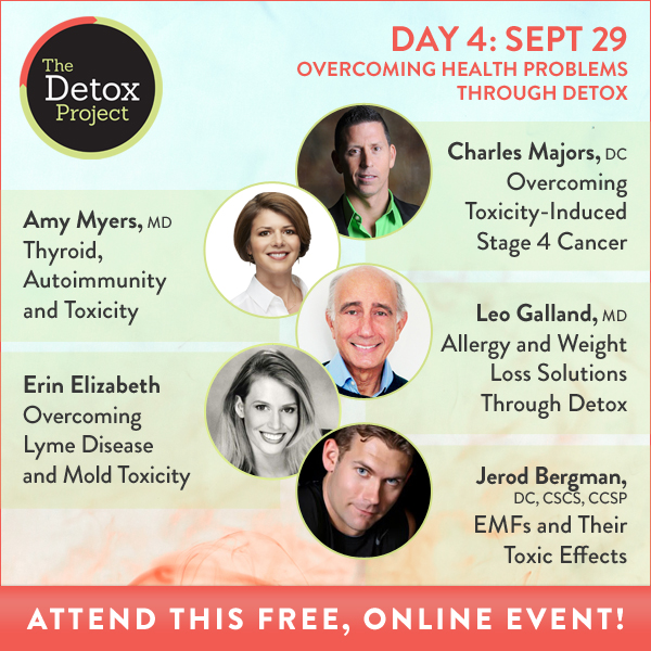 messiahmews blogs the detox project day day 4 overcoming health detox project summit flyer