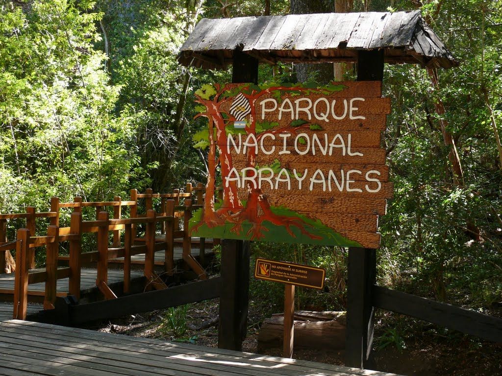 CONOZCAMOS LA ARGENTINA: EL BOSQUE LOS ARRAYANES UN LUGAR ÚNICO EN EL MUNDO