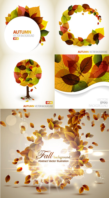 Quality Graphic Resources: Fall Colors 3