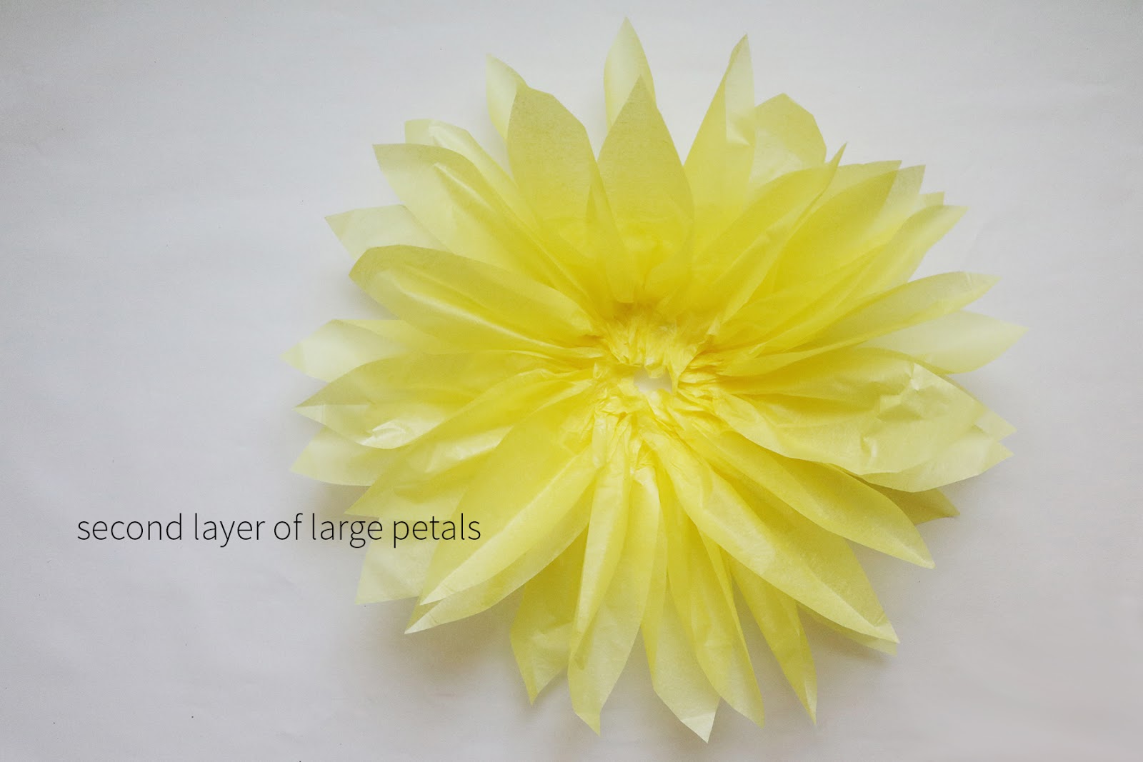 diy giant tissue paper flowers | Creative Bag