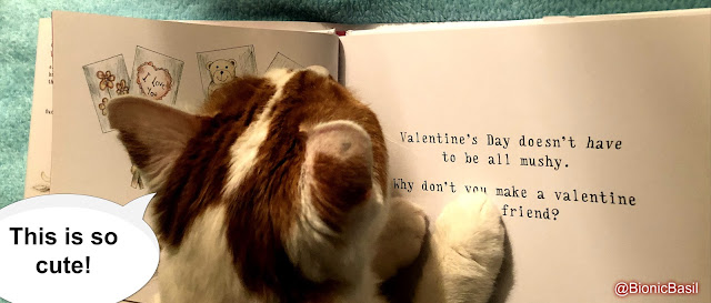 Feline Fiction on Fridays #119 at Amber's Library ©BionicBasil® Valentine's Throwback 2018