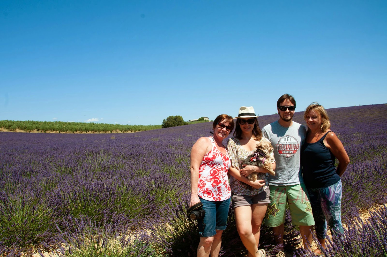 Plateau de Valensole