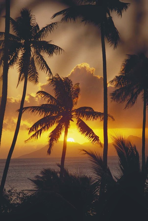 French Polynesia | 10 Places to See Beautiful Sunset Around The World French Polynesia | 10 Places to See Beautiful Sunset Around The World