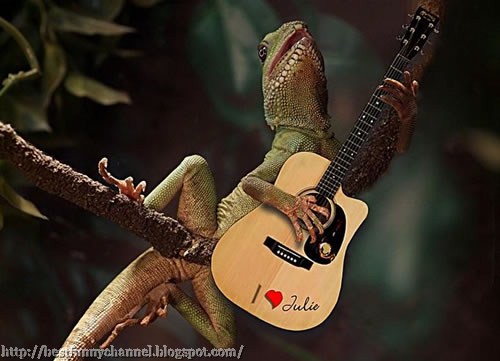 Funny lizard sings a serenade