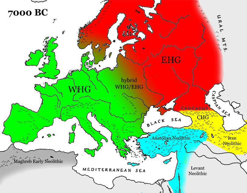 Los primeros agricultores europeos (Early European Farmers EEF) ¿Quiénes eran?  A7000-BC-gene-map-s