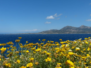 Calvi et ses environs - Corse - France Calvi et ses environs - Corse - France