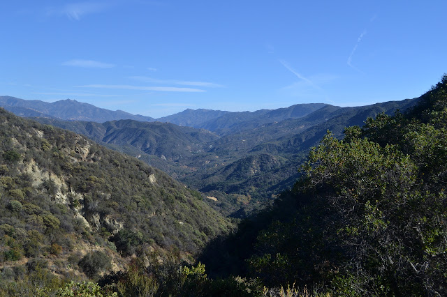 Forbush and Blue Canyons
