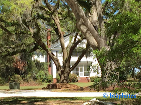 Reel To Real Movie And Tv Locations Shag 1989