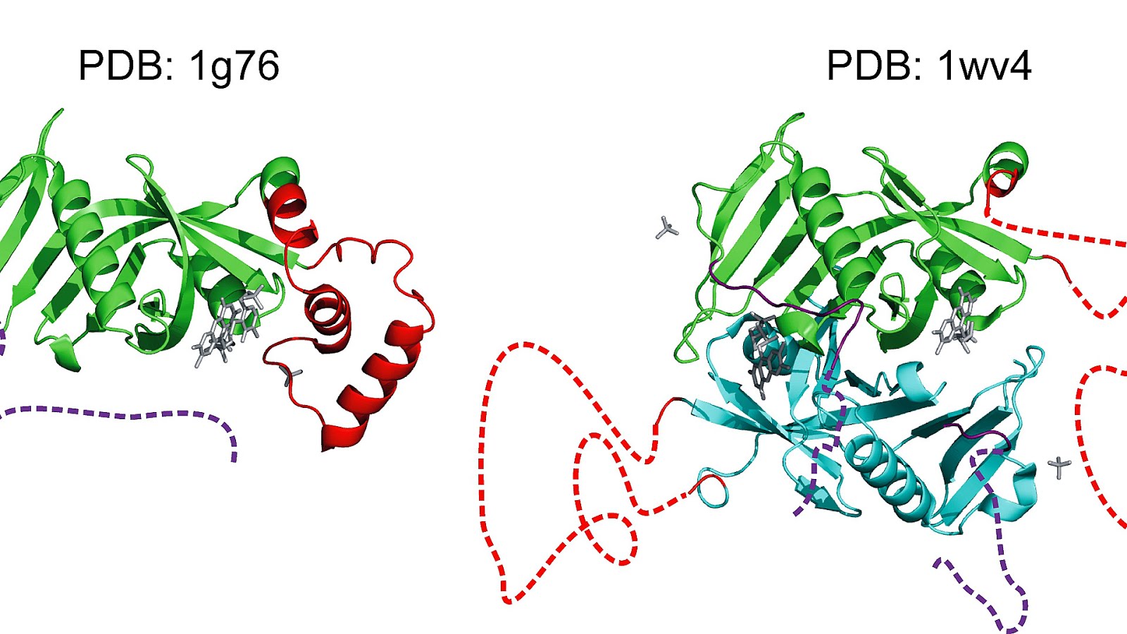 Examples Of Complex Proteins Protein Choices
