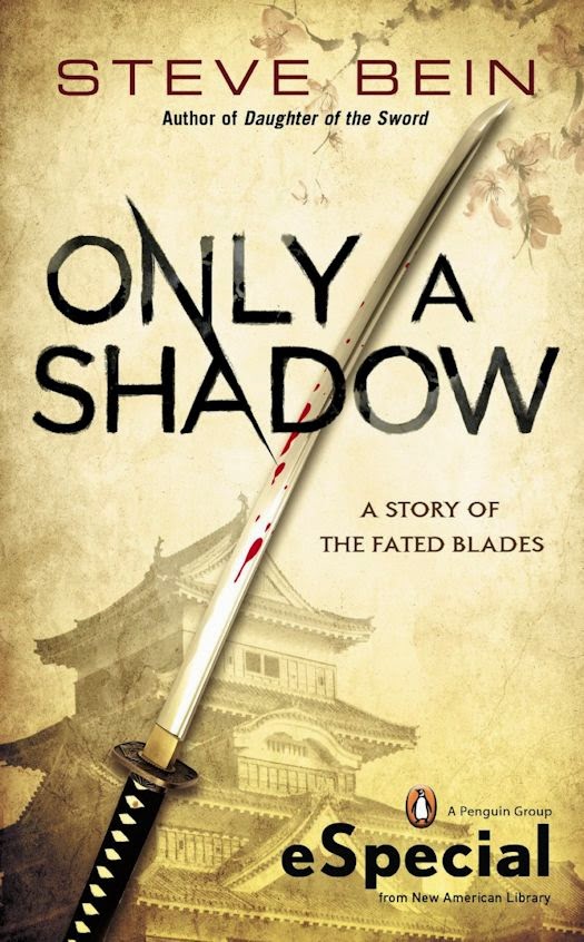 Interview with Steve Bein, author of The Fated Blades series- April 7, 2015