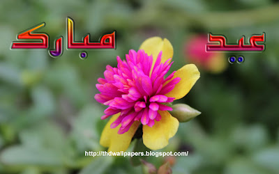 Eid Ul Zuha Adha Mubarak 2012 Card Flower Wallpapers Urdu Text 008
