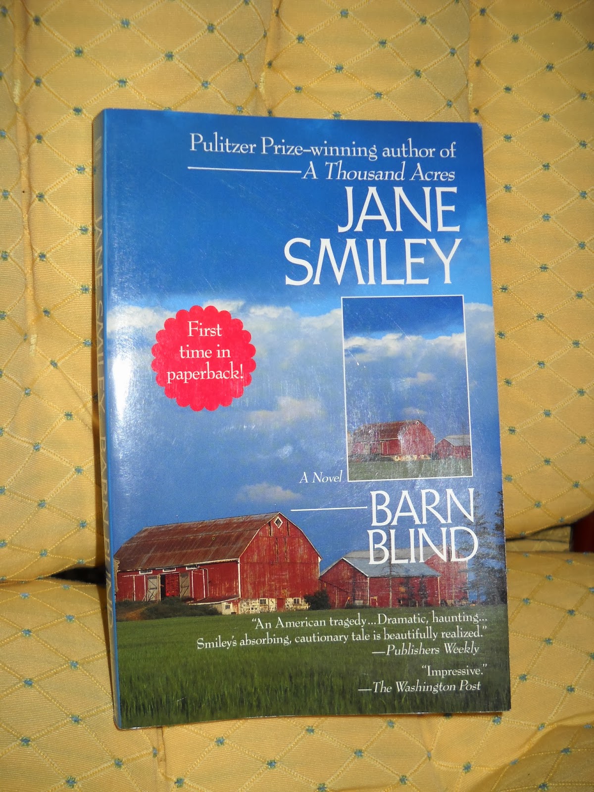 Divers And Sundry Barn Blind