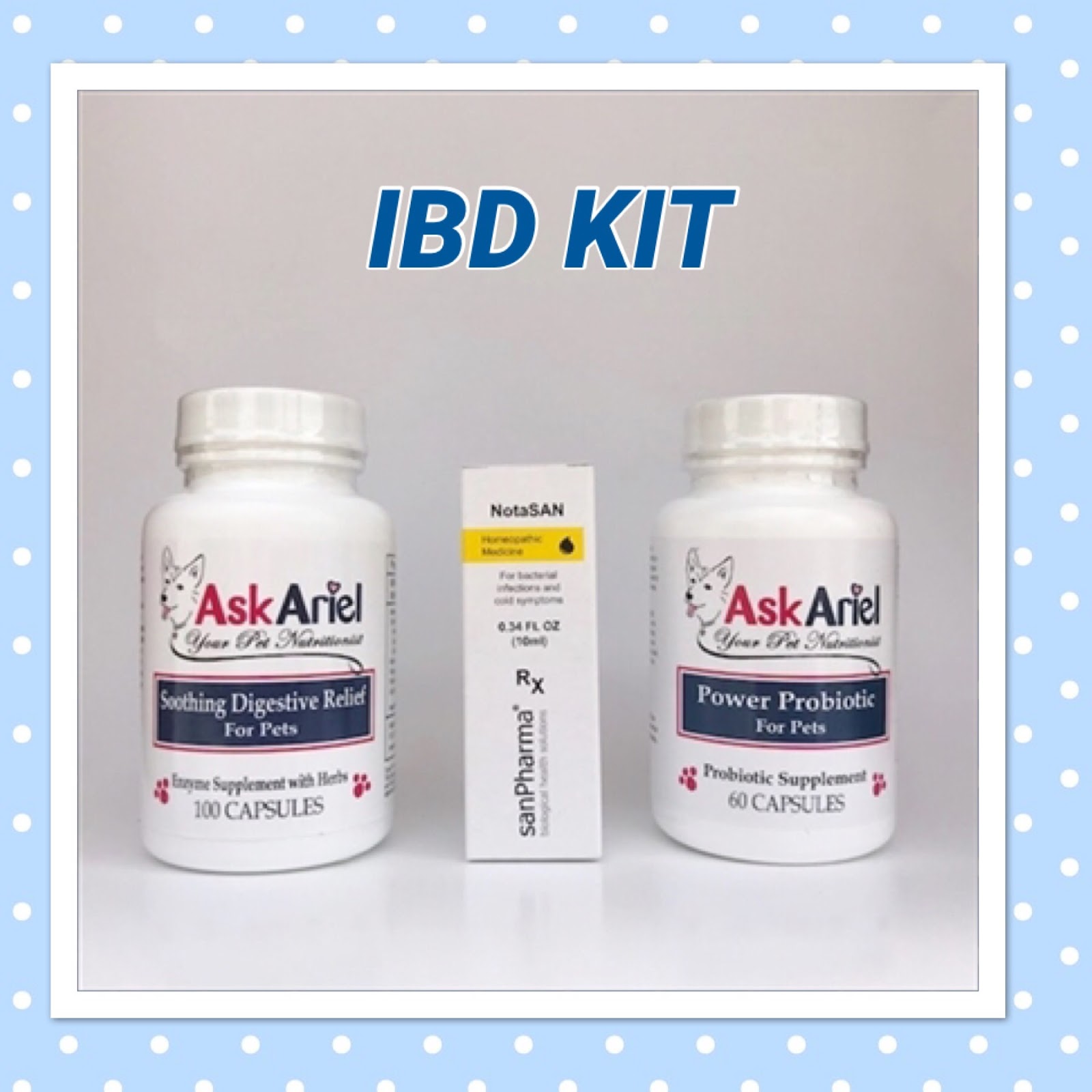 Natural Treatment Cat IBD Inflammatory Bowel Disease