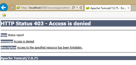 spring-security-demo-403-page