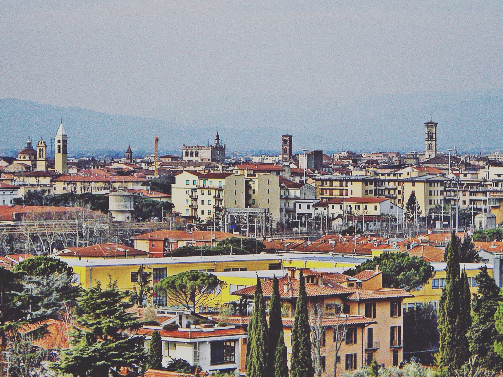 Stambeccomite Prato Italia