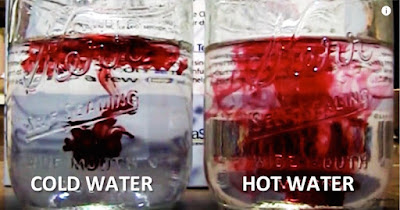 Which One Is Good For Your Body, Cold Water Or Warm Water ? – Find Out Here