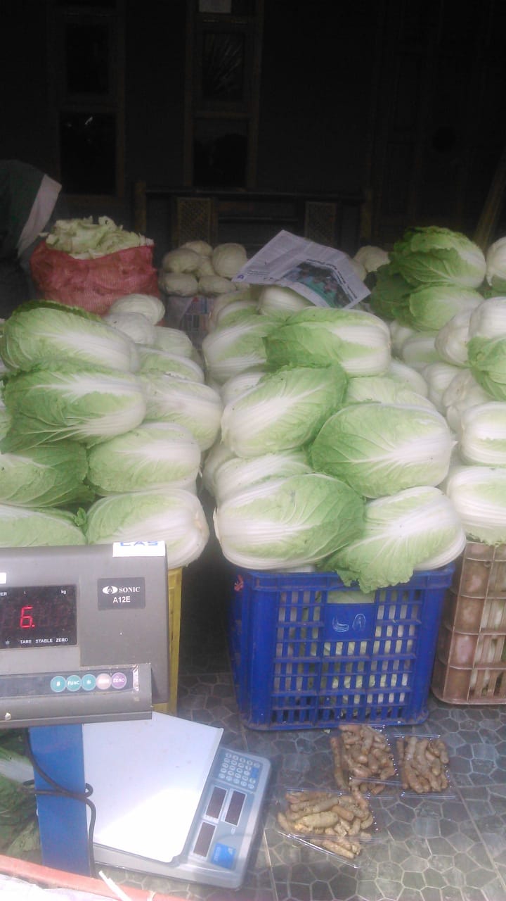 Revolusi Hijau di Ujung Jari: Memahami Fenomena Jual Beli Sayuran Online di Indonesia