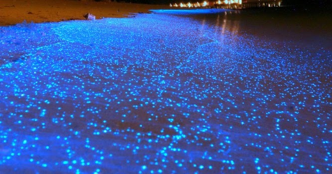 Top Heavenly places around the world 