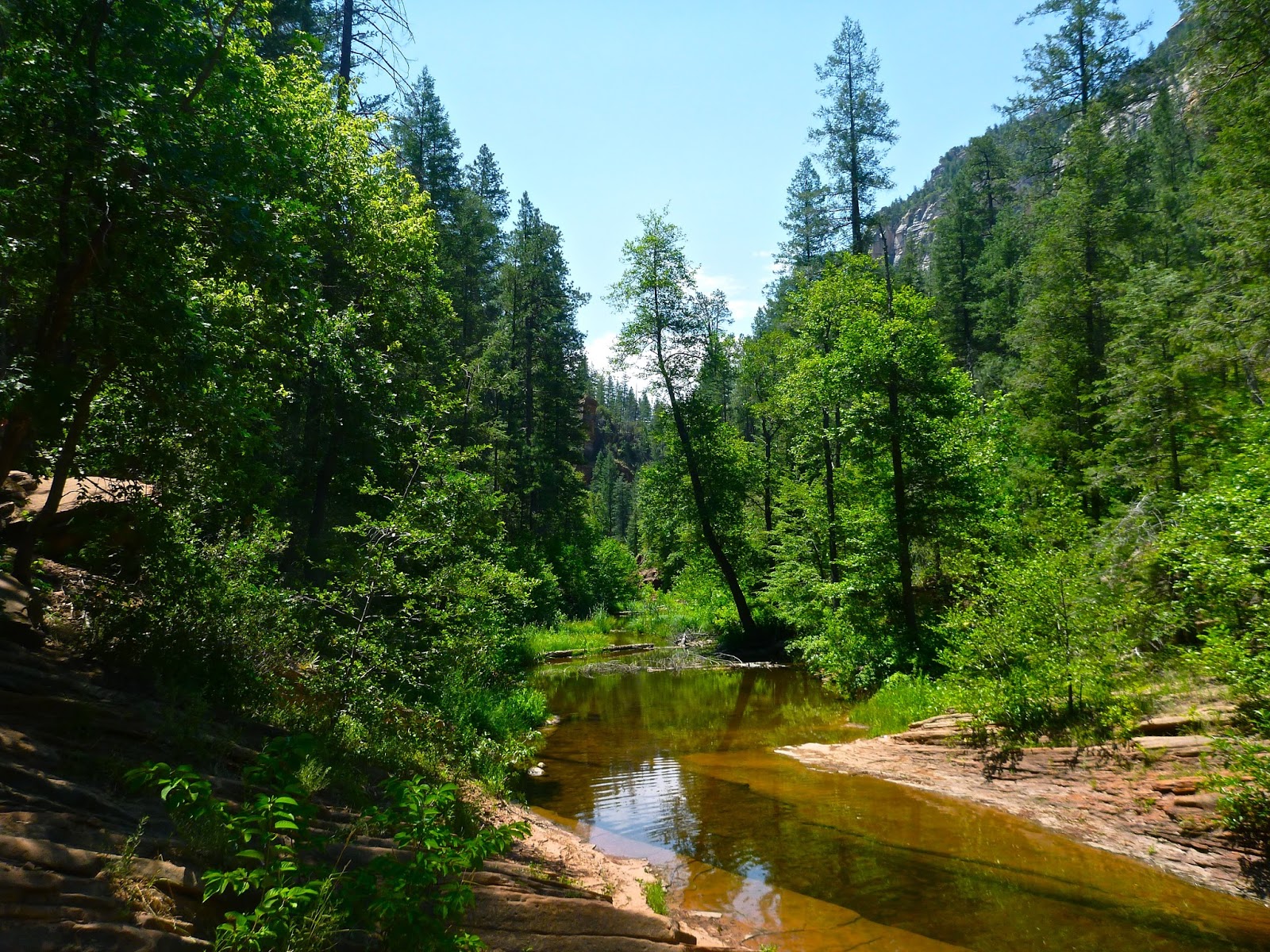 Scottsdale Daily Photo Photo West Fork Trail, Oak Creek Canyon
