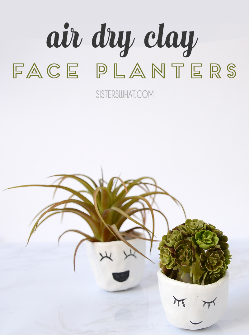 DIY Air Dry Clay Mini Face Planters a Clay Handicraft Kid Project Sisters, What!