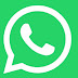 Whatsapp ganha Texto e fundo colorido no Status