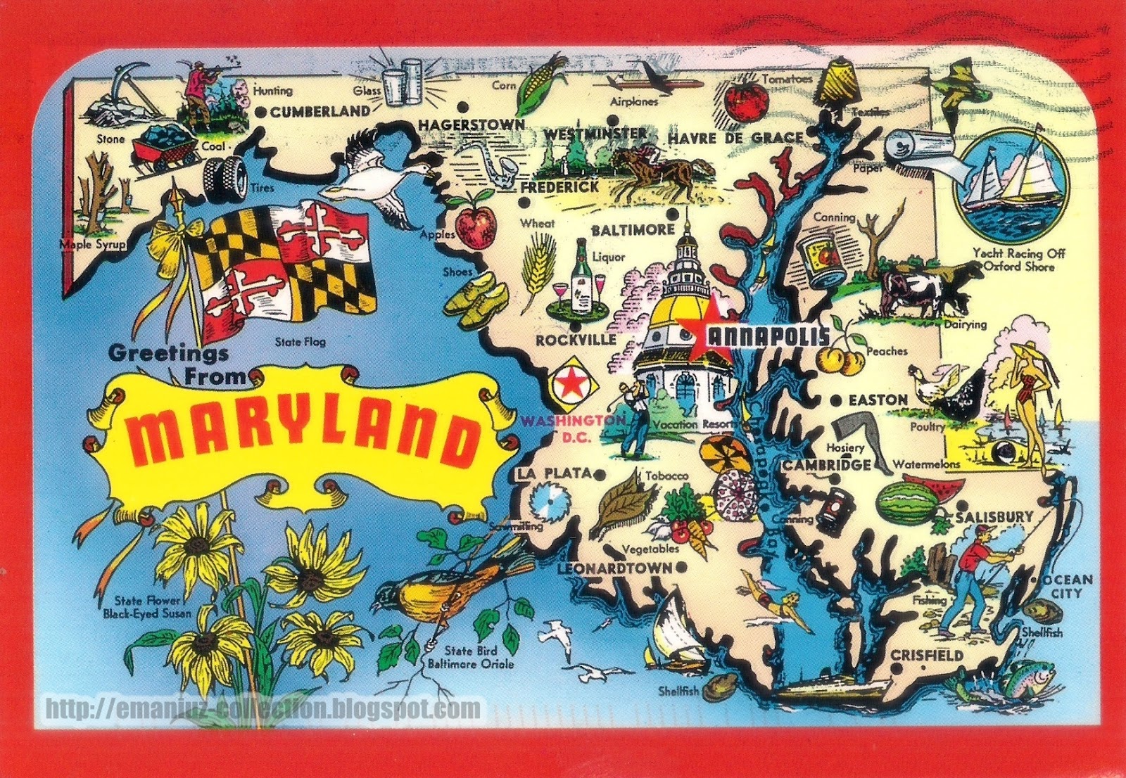 Postcard from the United States of America Maryland Emaniuz Collection