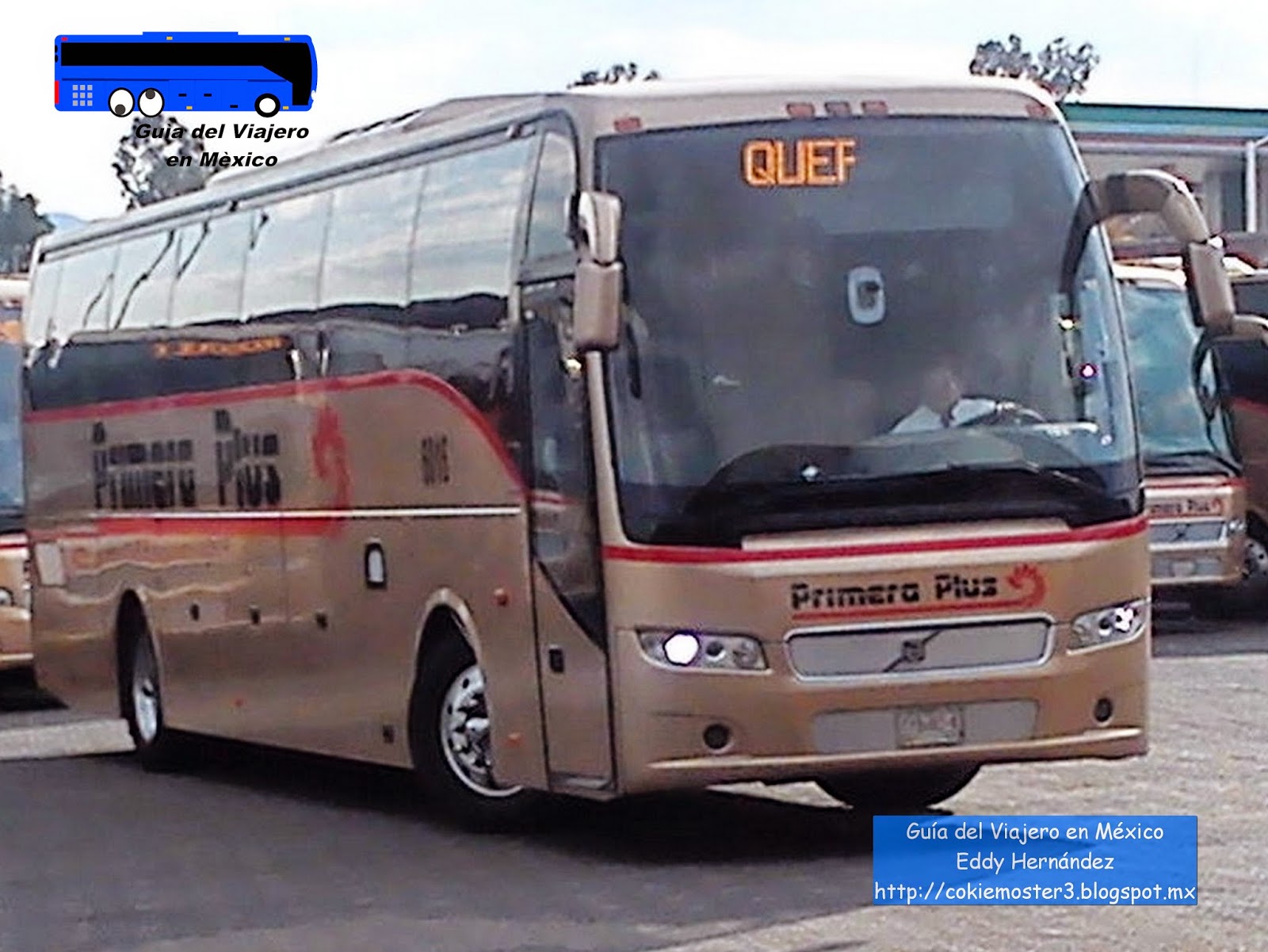 1200 Autobuses Primera Plus listos para ir a la playa