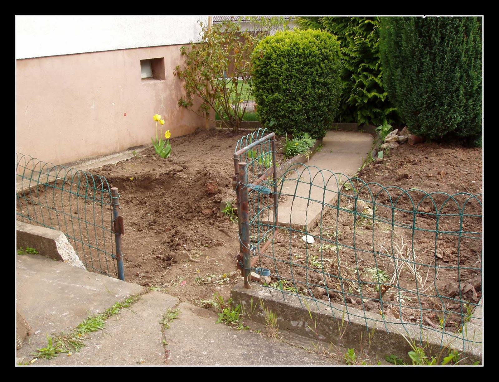 My Schimmelbude Is My Castle Garten Gewachshaus Und Parkplatz