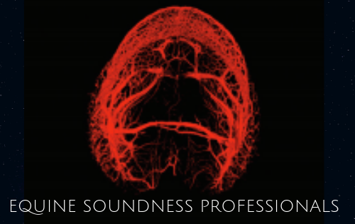 ESP: Equine Soundness Professionals