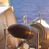 Marinha lança míssil antinavio e coloca Brasil entre potências no seto