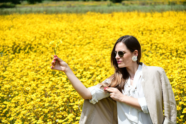 Daniela Sá Stylist & Consultora de Imagem