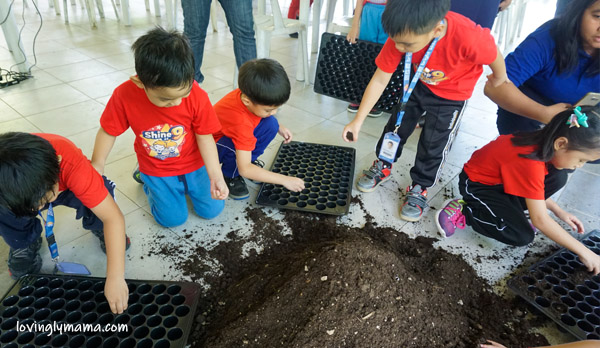 teach kids to grow their own food - Bright Kids Preschool - field trip - homeschooling - Bacolod preschool - Bacolod blogger - Bacolod mommy blogger - Negros Farmers Weekend Market - Bacolod City - Negros Occidental