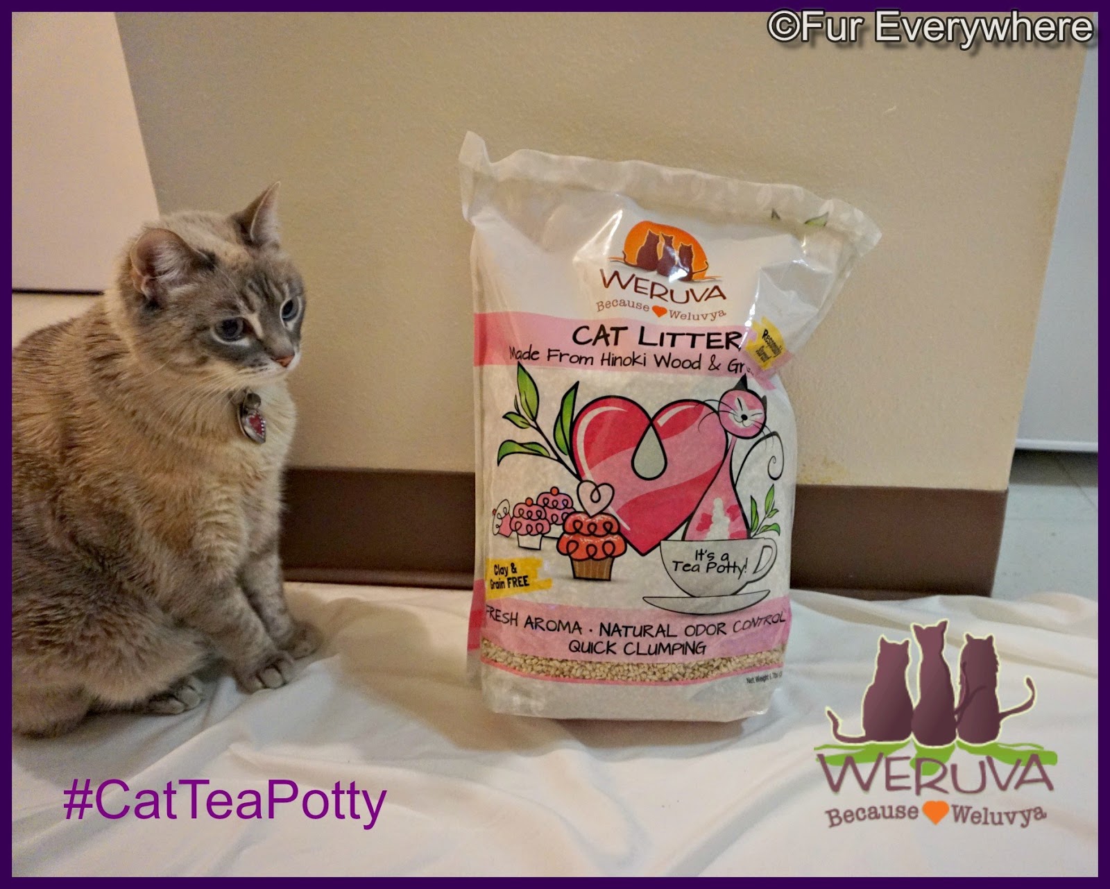 Fur Everywhere It's a CatTeaPotty with Weruva's New Sustainable Cat