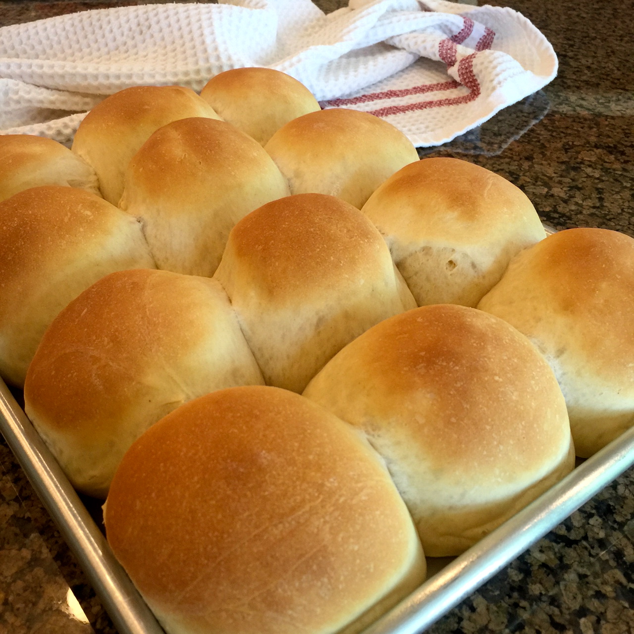 The Grandmother Gig Homemade Dinner Rolls Take 2