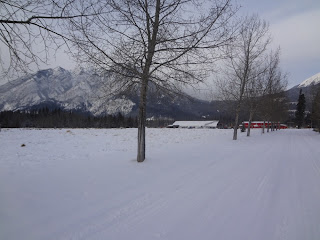 banff alberta