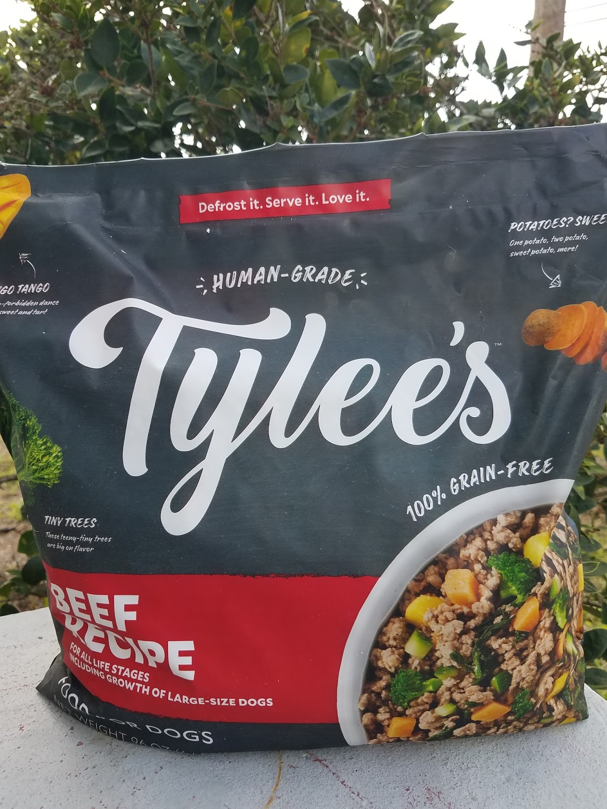 The ABCD Diaries Challenge Tylee's Beef Recipe Human Grade