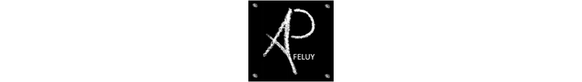 AP Feluy