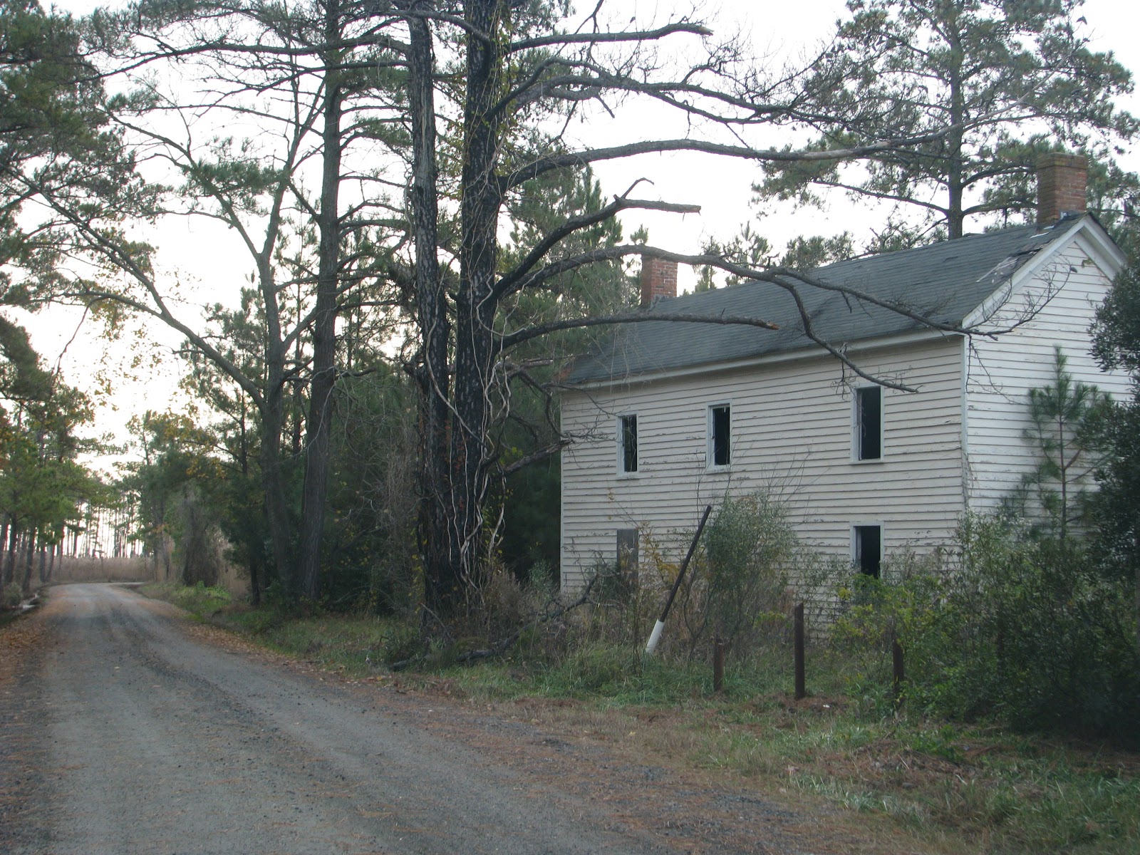Life in Mathews Old House in the Woods
