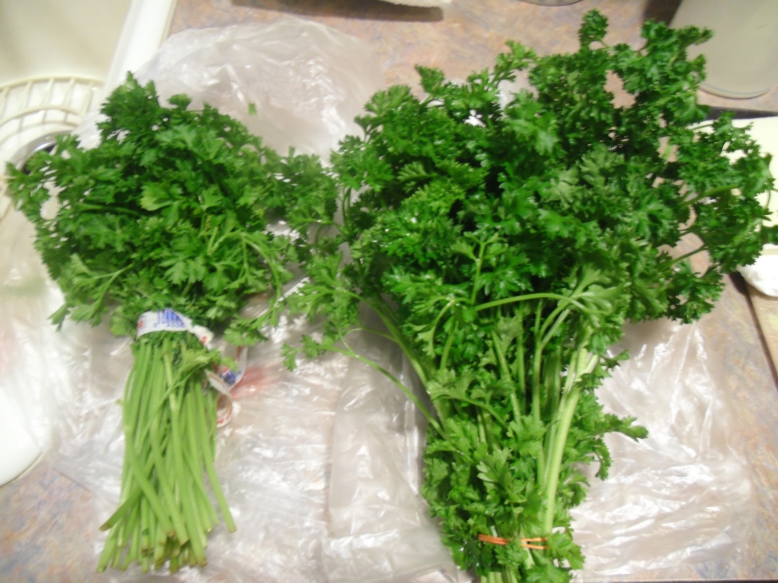 A (soy) Bean Vegan MoFo Day 18 Parsley Pesto & a Magic Bullet Scare