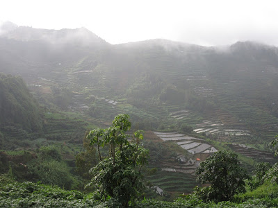 Vistas desde Gunung Sikunir, en Dieng Plateau