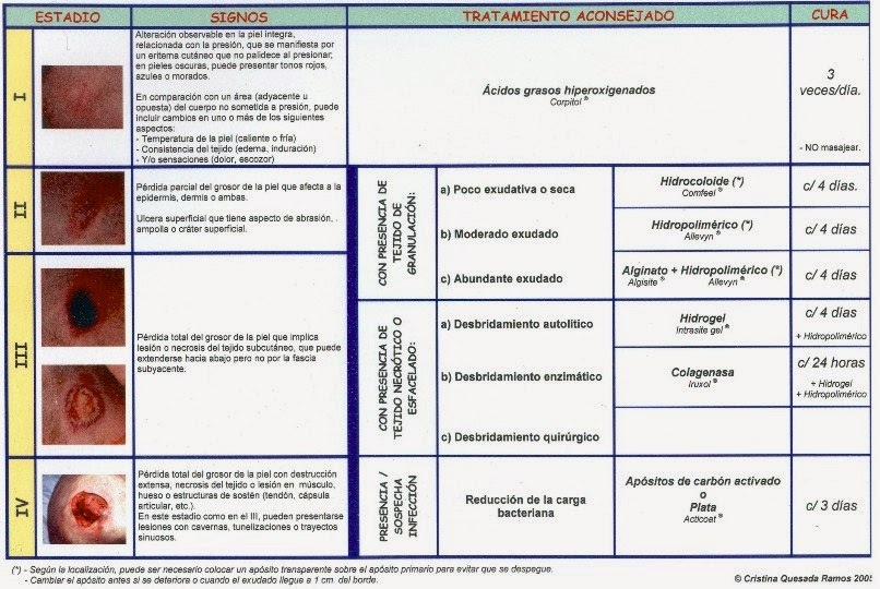 ANIMALES ENFERMERÍA PREVENCIÓN Y CUIDADOS EN LAS ÚLCERAS POR PRESIÓN ANIMALES ENFERMERÍA PREVENCIÓN Y CUIDADOS EN LAS ÚLCERAS POR PRESIÓN